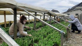 Sur www.muguet-solidarite.com , un appel est lancé à la solidarité, pour envoyer du bonheur aux résidents et personnels des Ehpads de Pyrénées-Atlantiques et Haute-Garonne. ©Lamothe